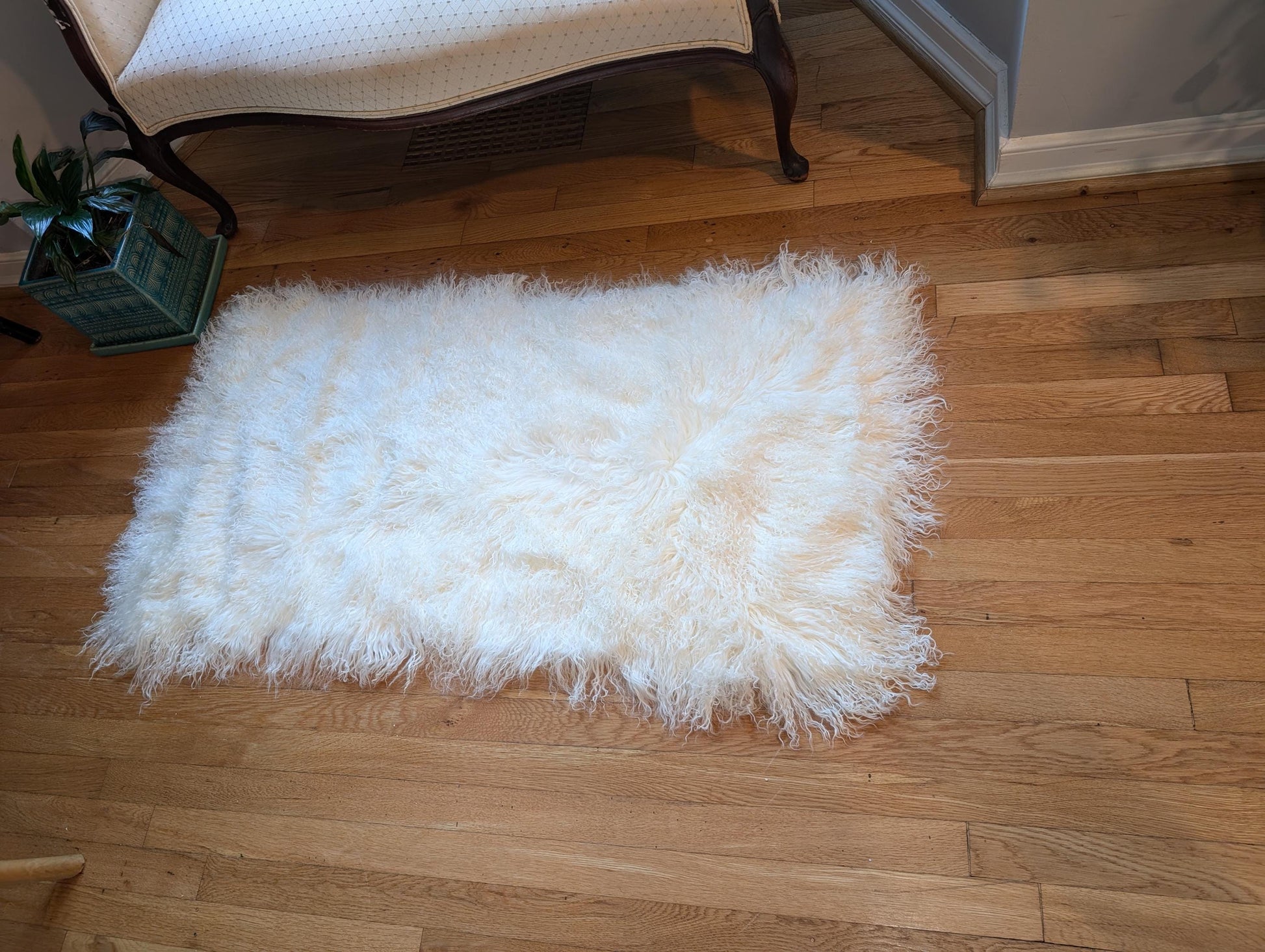 Our Luxurious Genuine Sheepskin Throw. Elevate your home decor with our Luxurious Genuine Sheepskin Throw, a stunning addition that combines comfort, style, and eco-friendliness. Crafted from high-quality, natural sheepskin, this throw rug is designed to bring warmth and sophistication to any room. Stylish home decor. Eco frinedly